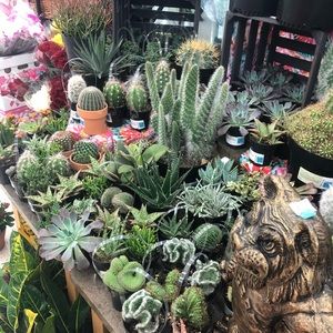 Meet your Posher, Liz